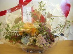 Dm_hp_24741_3 Dm_hp_24741_3