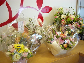 Dm_hp_24746 Dm_hp_24746