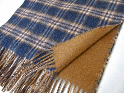 IMG_3823.JPGのサムネイル画像