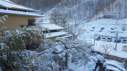20180306_070041.jpg