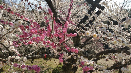 20180313_135729.jpg