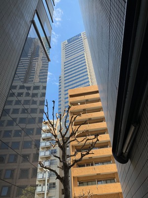 IMG_7764.jpg