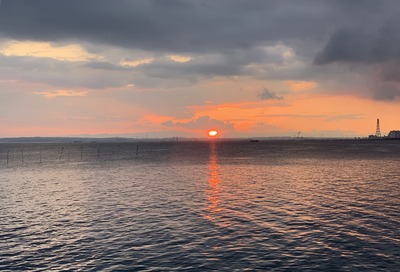 IMG_9951.jpg