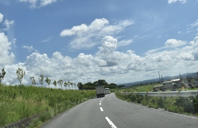 DSC_0122.jpg